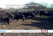 Suplementación de vacas de cría