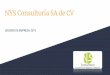 NYS Consultoría SA de CV - ConnectAmericas