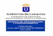 NORMAS DE ORGANIZACIÓN Y ... - Gobierno de Canarias