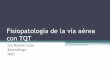 Fisiopatología de la vía aérea con TQT
