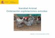 Sanidad Animal Ordenación explotaciones avícolas