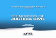PRINCIPIOS DE DE INVERSIONES DE CAPITAL EN JUSTICIA CIVIL