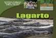 Lagarto - WordPress.com