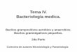 Tema IV. Bacteriología medica