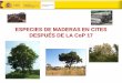 ESPECIES DE MADERAS EN CITES DESPUÉS DE LA CoP 17
