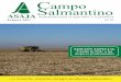 Campo Salmantino - asajacyl.com