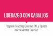 LIDERAZGO CON CABALLOS - Aflora Consulting