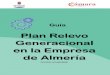 Plan Relevo Generacional en la Empresa de Almería