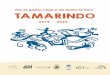 Plan de gestión integral del destino turístico TAMARINDO