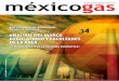 EDITORIAL - MEXICOGAS