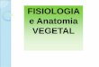 FISIOLOGIA e Anatomia VEGETAL - policiamilitar.mg.gov.br