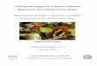 Mycological catalogue of the Riserva Naturale Biogenetica 