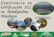 Experiencia en Certificación ISCC en Hondupalma - Honduras