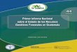 Primer Informe Nacional Genéticos Forestales en Guatemala