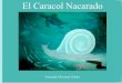19 El Caracol Nacarado - cuentosdefederico.cl
