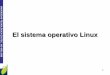 El sistema operativo Linux
