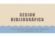 SESION BIBLIOGRAFICA MARZO - WordPress.com