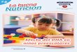 Efecto del DHA en niños preescolares