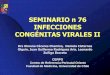 SEMINARIO n 76 INFECCIONES CONGÉNITAS VIRALES II