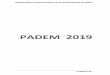 PADEM 2019 - DAEM Rengo