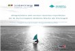 Diagnóstico del sector marino-marítimo de la Eurorregión 