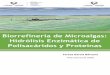 Biorrefinería de Microalgas: Hidrólisis Enzimática de 